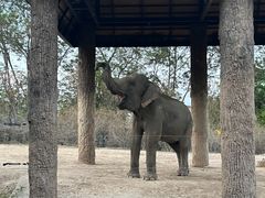 -清迈夜间动物园