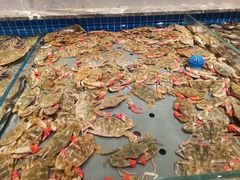 -一方渔歌蒸汽海鲜自助(文化路万达广场店)