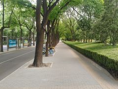 -元大都城垣遗址公园