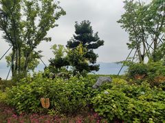 -东钱湖小普陀景区