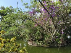 -海南热带野生动植物园
