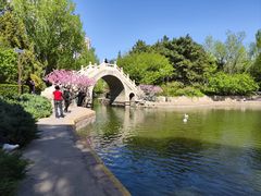 -团结湖公园