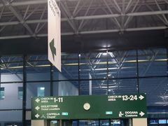 -米兰马尔彭萨国际机场