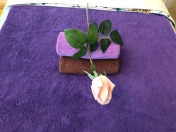 -悦芳庭美肤美体品牌集合店