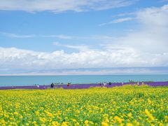 -青海湖国家重点风景名胜区