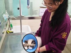 -暖阳宠物医院·犬猫康复中心·骨科