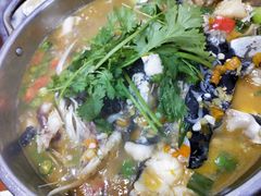 -全乐鱼馆·淳牌有机鱼直营店