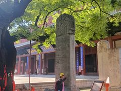 -河北省园博园