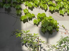 -懒鱼时光馆(沙坪坝店)