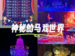 -广州长隆国际大马戏