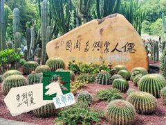 -深圳仙湖植物园