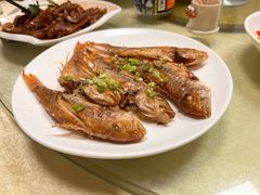 -惠来大排档(联创商业街店)