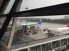 -全日本空输株式会社(上海办事处)