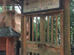 -天门沟九州驿站树上汤泉