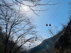 -王顺山国家森林公园