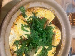 -紫滇源云南生态菜(丹凤街店)