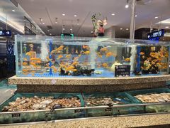 -初色海鲜自助(万丰路店)