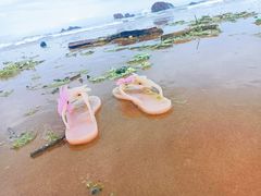 -青岛金沙滩