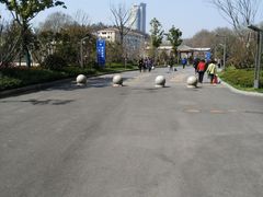-江苏省人民医院(广州路院区)