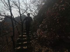 -大连天门山国家森林公园