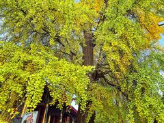 -金堂县云顶石城风景区