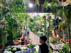 -循礼门鲜花花市(武汉循礼门店)