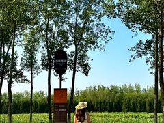 -汉长安城未央宫国家考古遗址公园