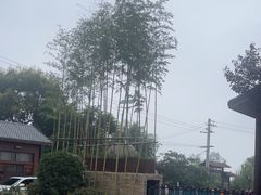 -少华山国家森林公园