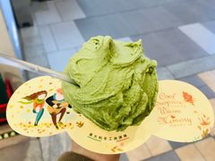 -野人先生现做冰淇淋(西安赛格店)