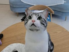 -萌兽医馆·眼科·异宠专科(三里屯店)