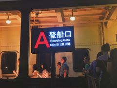 -武汉知音号