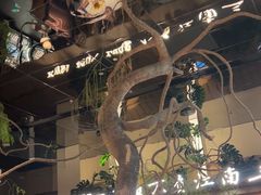 -桂满陇·海市蜃楼·黑金(国金店)