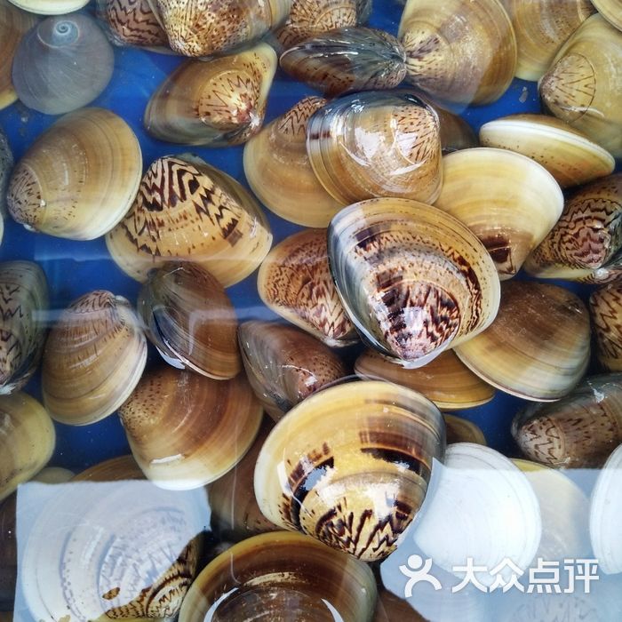 壮壮家常菜蒸汽海鲜鸟贝图片-北京海鲜-大众点评网