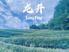 -龙井村