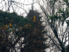 -常熟方塔园