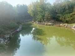 -大兴滨河森林公园