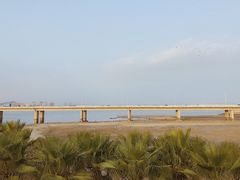 -海堤纪念公园