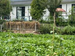 -丽泽山庄·生态怀柔菜·虹鳟鱼(红螺寺店)