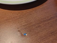 -萨莉亚意式餐厅(百联青浦购物中心店)
