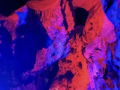 -寻龙山风景旅游区