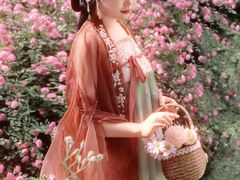 -西安青龙寺遗址景区