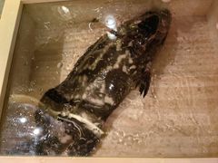 -ONE FULL 古董港式海鲜火锅