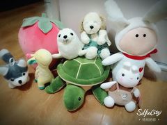 -PAWTOY爪e玩偶店(天兴罗斯福店)