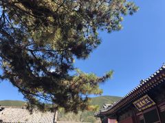 -五台山风景名胜区-罗睺寺