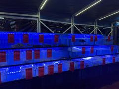 -上海嘉定喜来登酒店