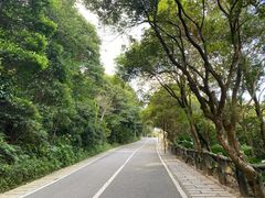 -梧桐山风景名胜区