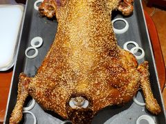 -九十九顶毡房(阜石路店)