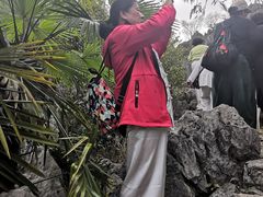 -千岛湖石林
