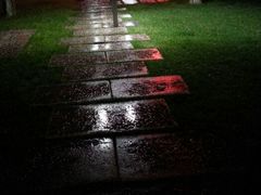 通往餐厅的小路-有才叔的小馆(招商依云曲江店)