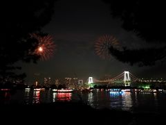 -台场海滨公园船码头